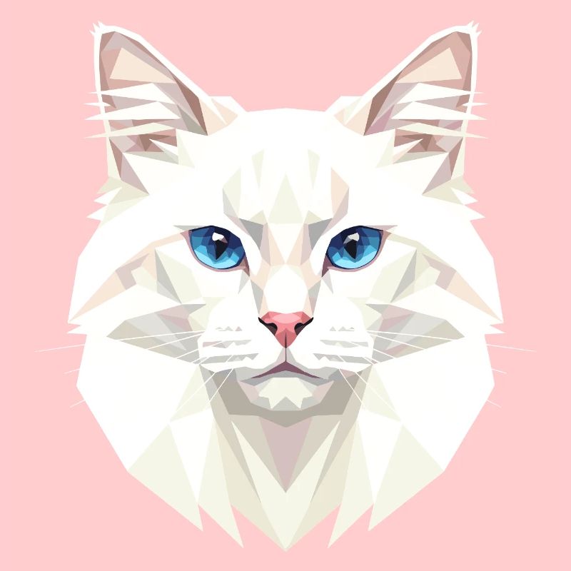 Chat Angora Chat Angora Chat Angora Mignons Chats Angora