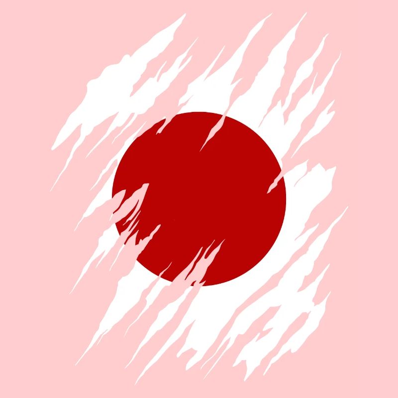 Drapeau du Japon utilisé Look Nihon drapeau japonais