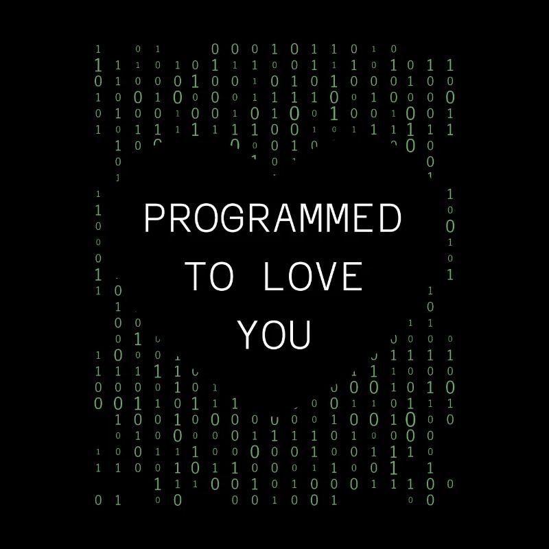 Developer Coder Programmer