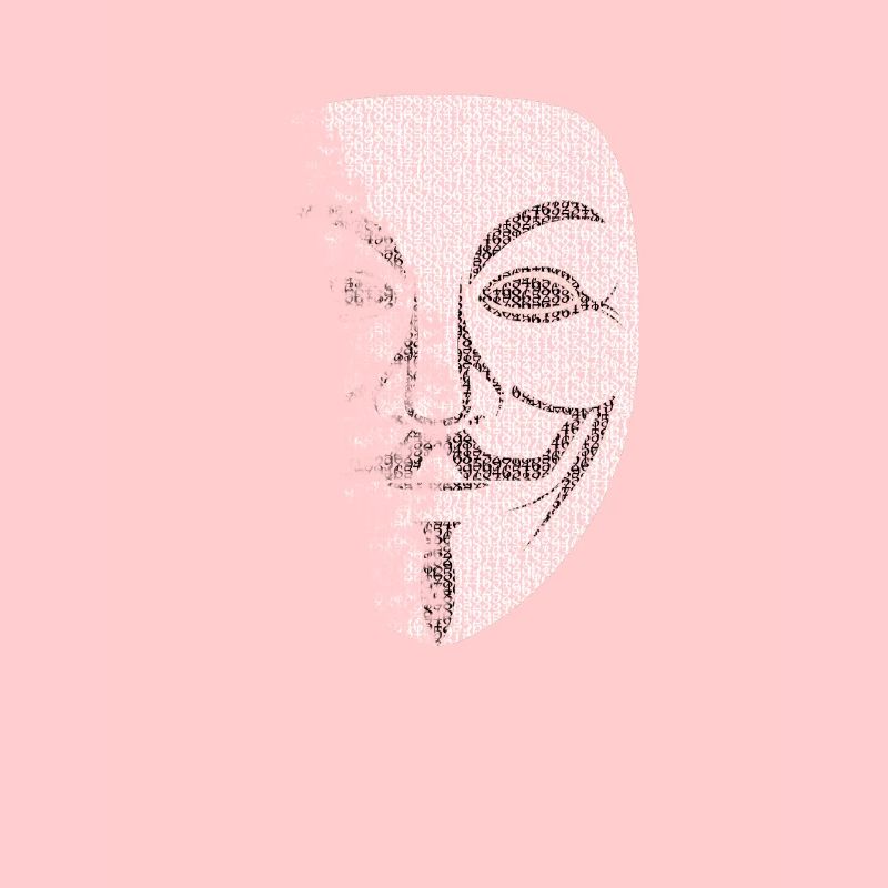 Anonymous freedom hacker Wikileaks Vandetta demo