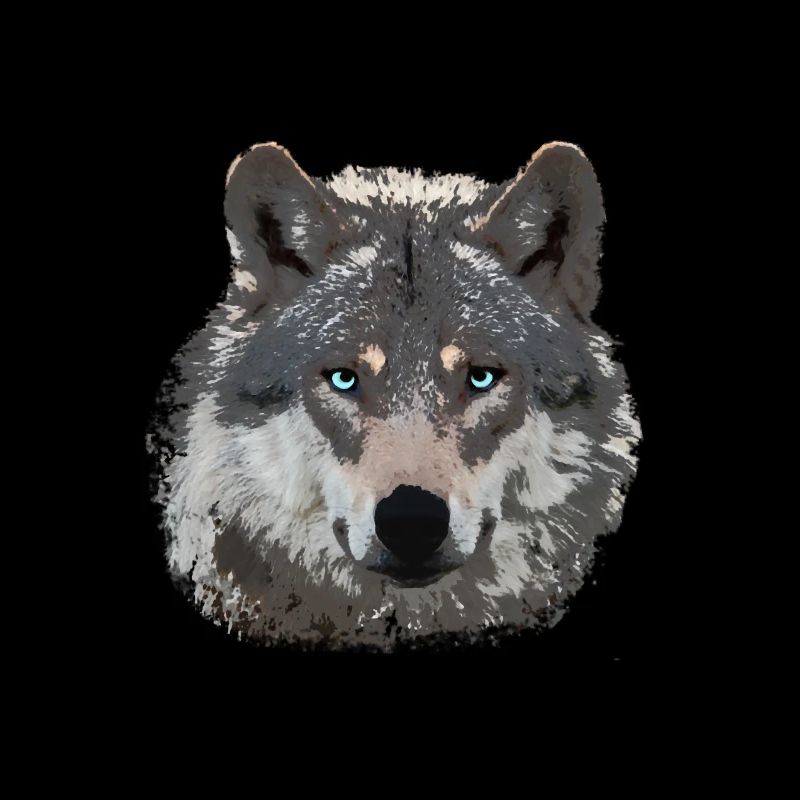 Wolf Fans Design Classic - for Wolves Lovers