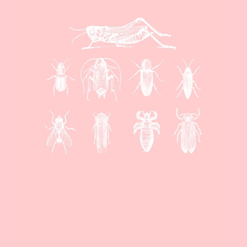 Bugs Insects