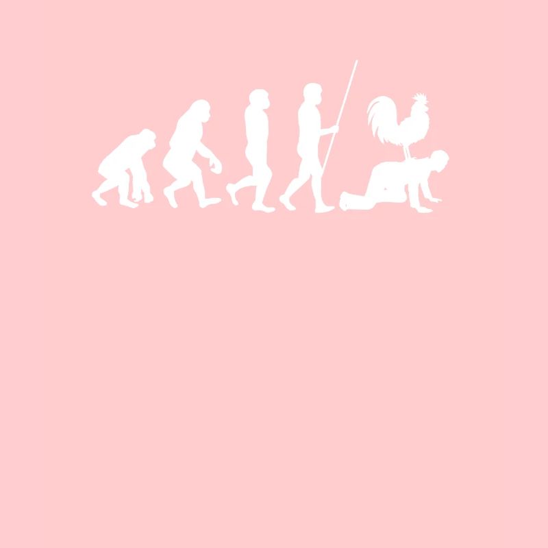 Zwerghühner Hühner Landwirt Huhn Evolution