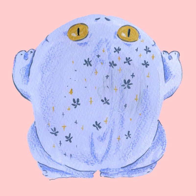 Frog toad in pastel