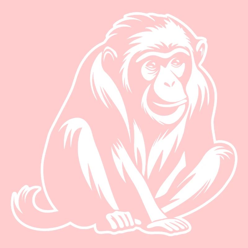 Singe Singe Visage de Singe Jungle