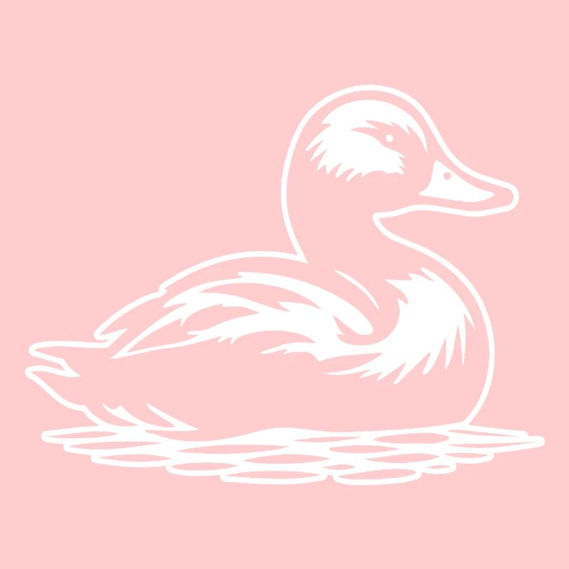 Duck Birds Ducks