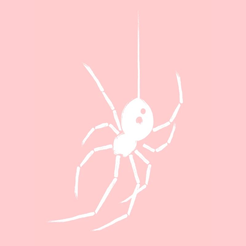 Araignée Veuve noire
