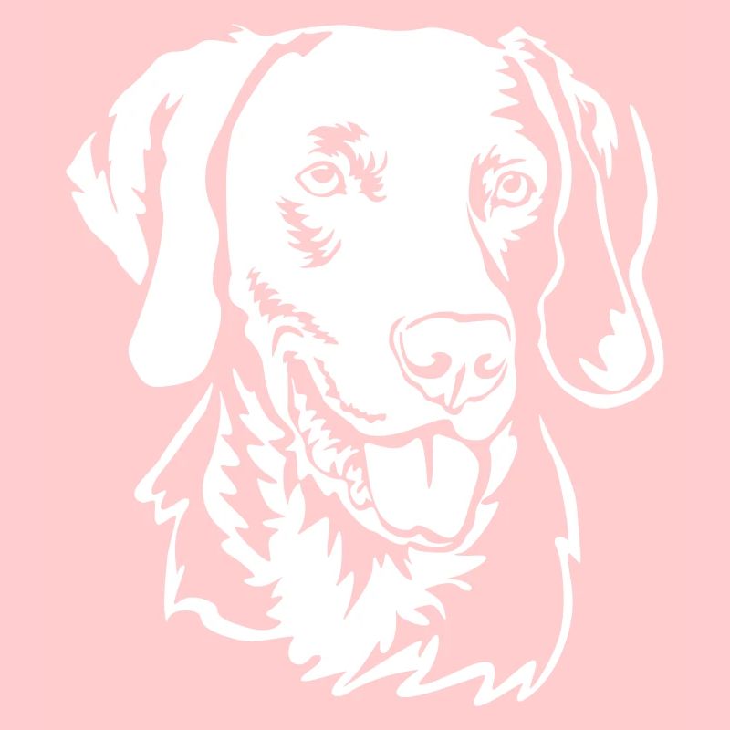 Weimaraner head "Black Edition"