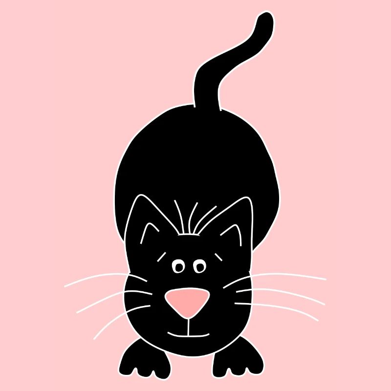 black cat
