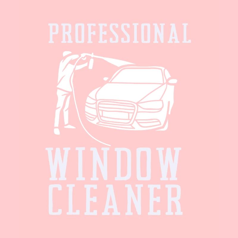 Window Cleaner Services Car Window Cleaning Window