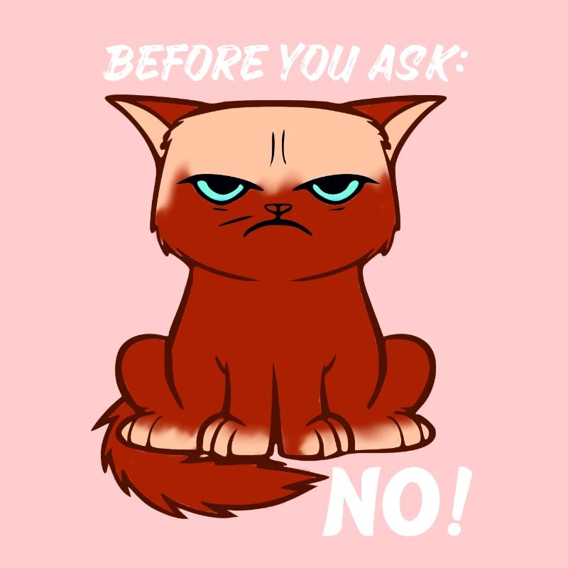 Angry Cat Say No Cool Gift Idea