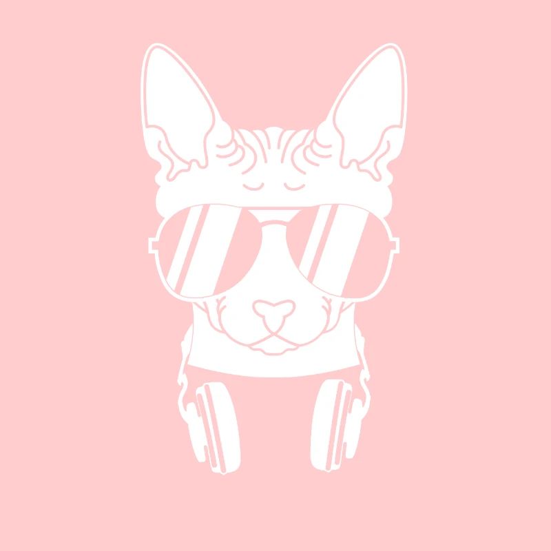 Cool cat kitty kitty chat nu