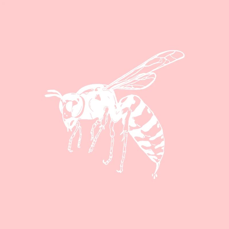 Wasp