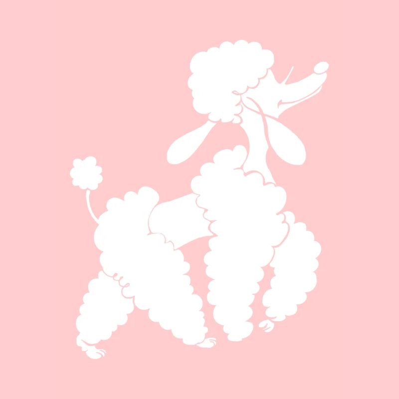 caniche