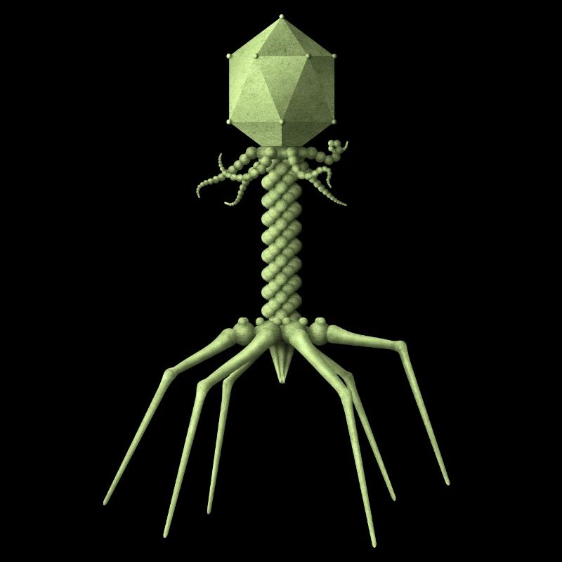Phage