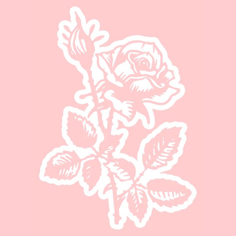 Rose Blume