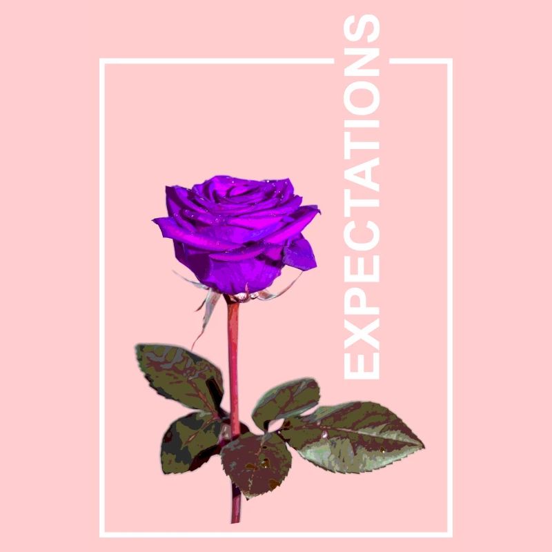 Rose Expectaions Ästhetik