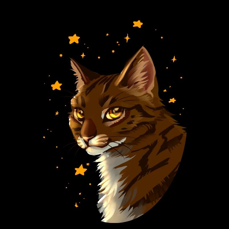 Brambleclaw Bramblestar Brombeerkralle Katze Tiger