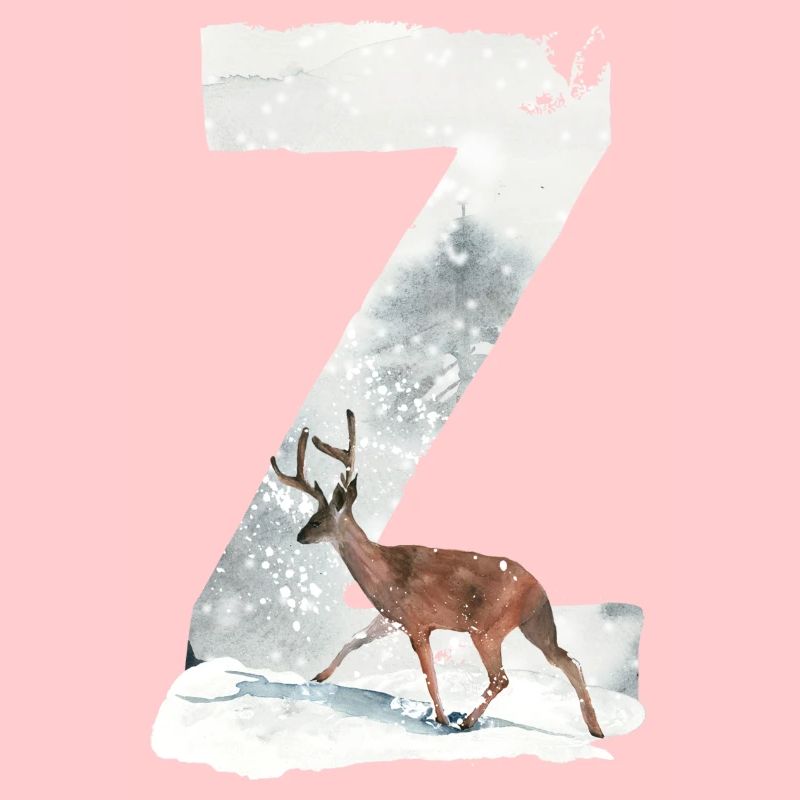 Z – decorative character – winter
