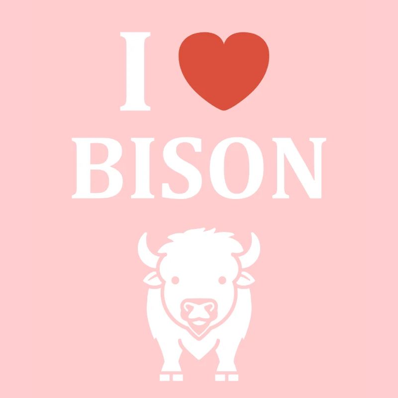 Bison