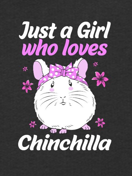 Chinchilla