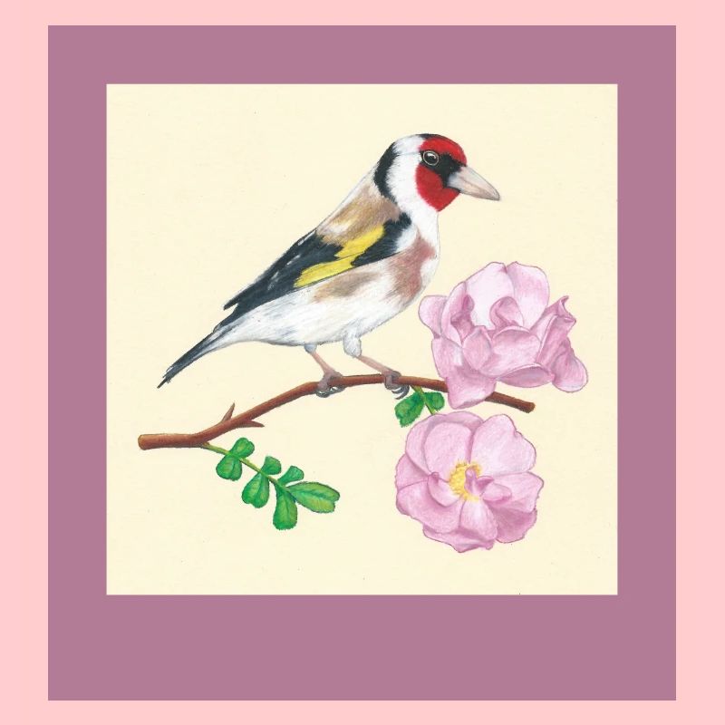 240102 Vogel 3