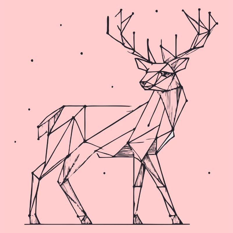 Hirsch 2D Linien