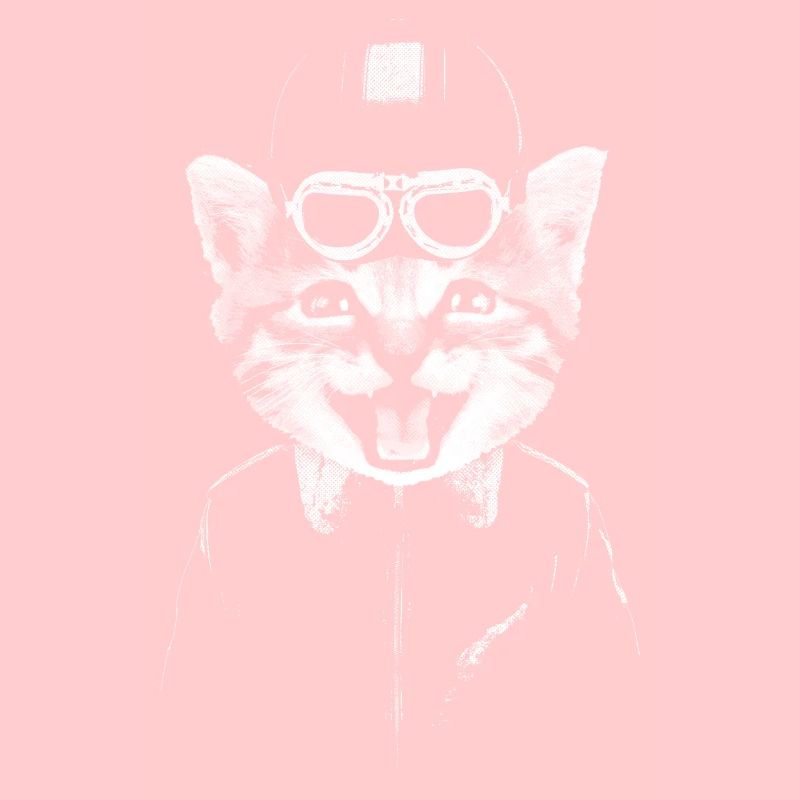 MOTORRAD-CHAT