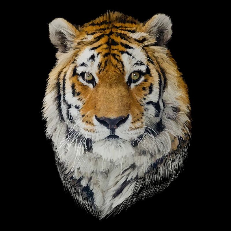 Tigre