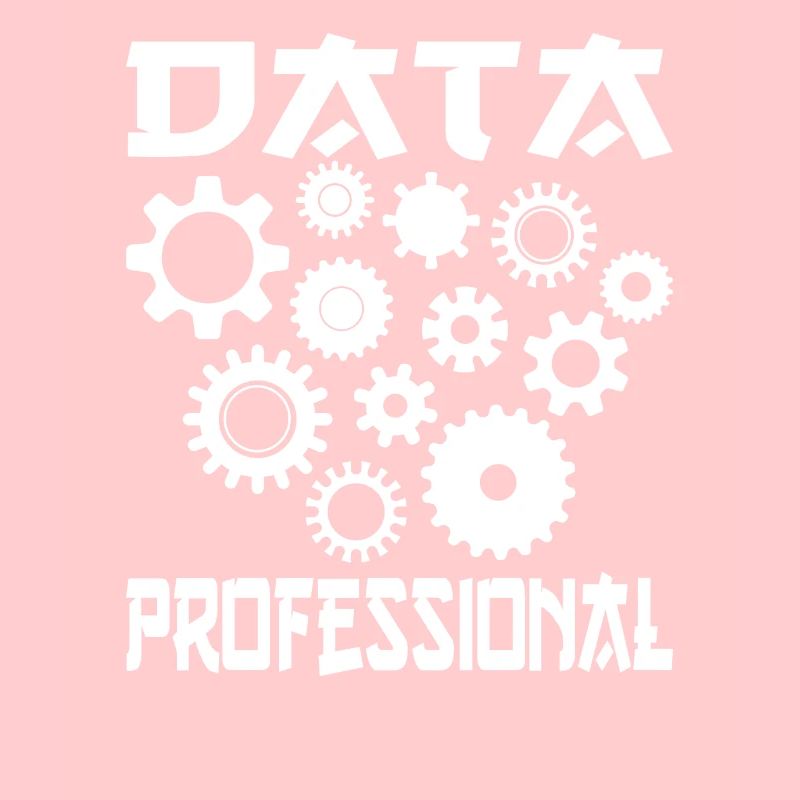 Daten Analytiker Datenschutz Beauftragter