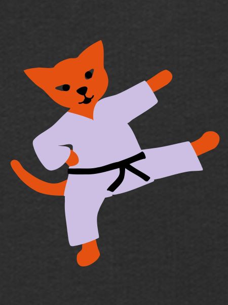 taekwondo cat