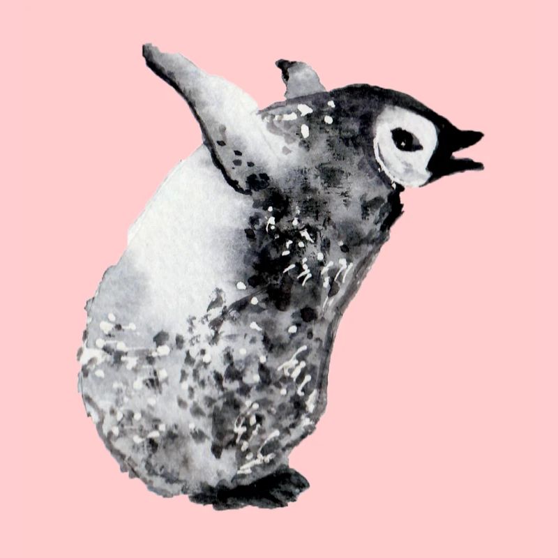 Bébé pingouin pleurant