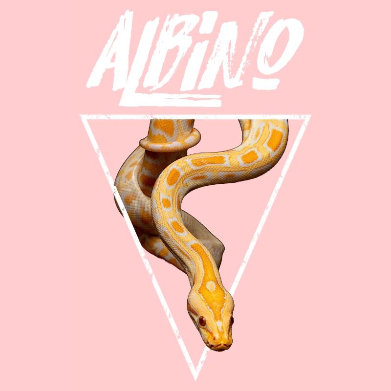 Propriétaire de serpent Python birman