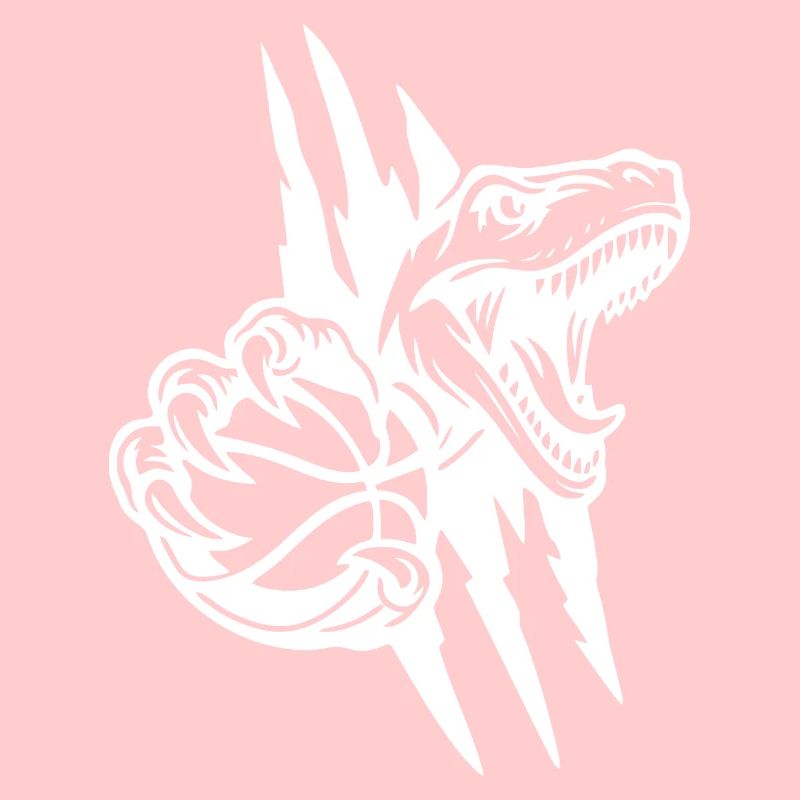 Roaring Raptor Basketball