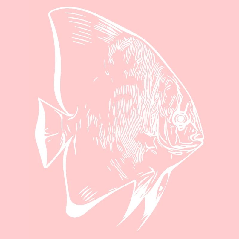 Elegant vintage batfish