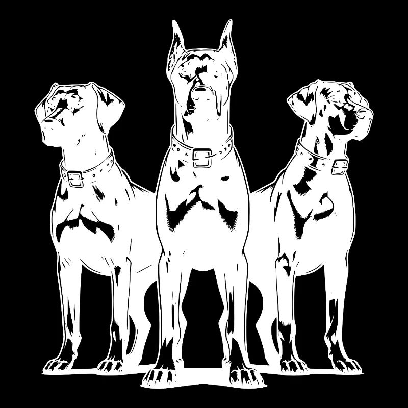 Drei elegante wachsame Wachhunde auf Posten