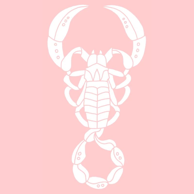 Scorpion blanc