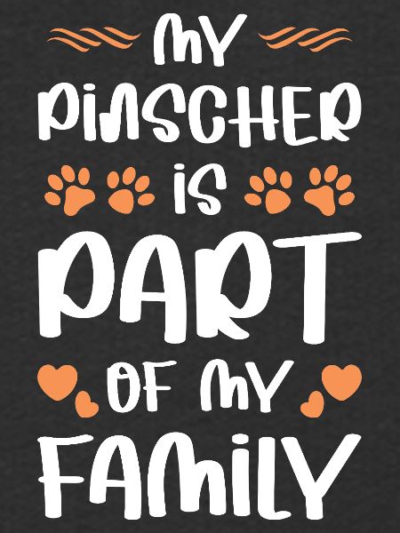 Pinscher