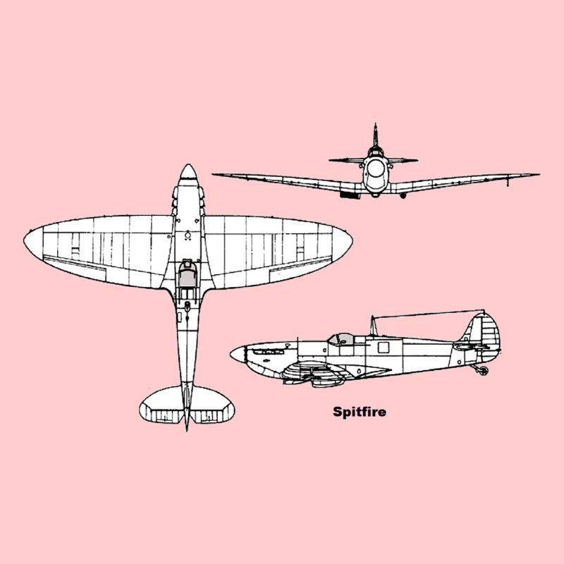 Avion