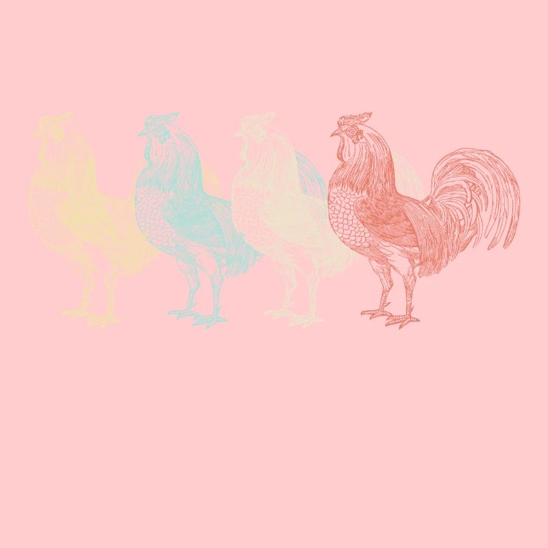 Poulet Poulet