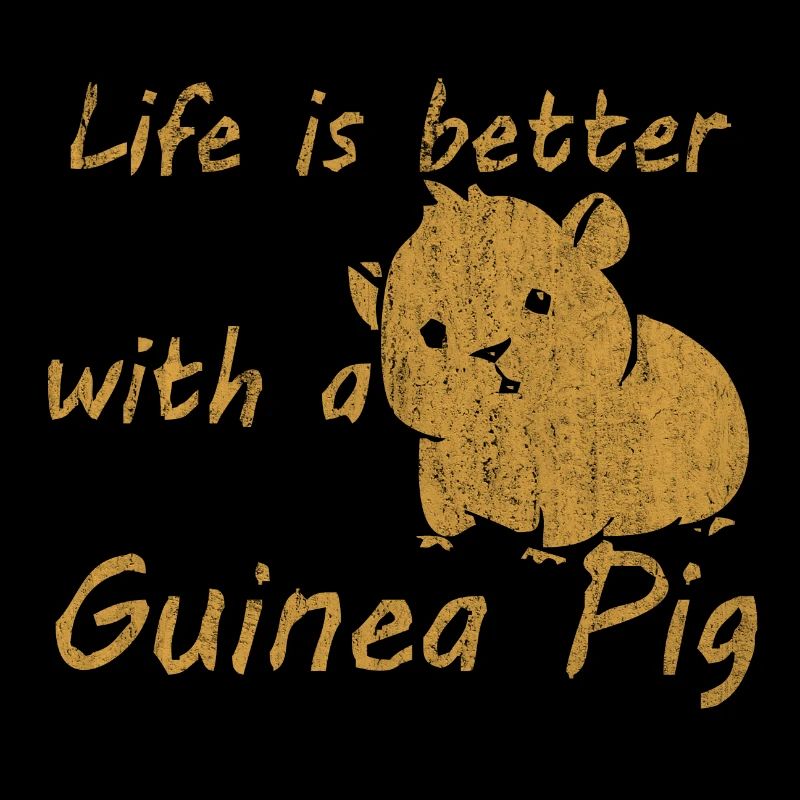 Cochon d'Inde