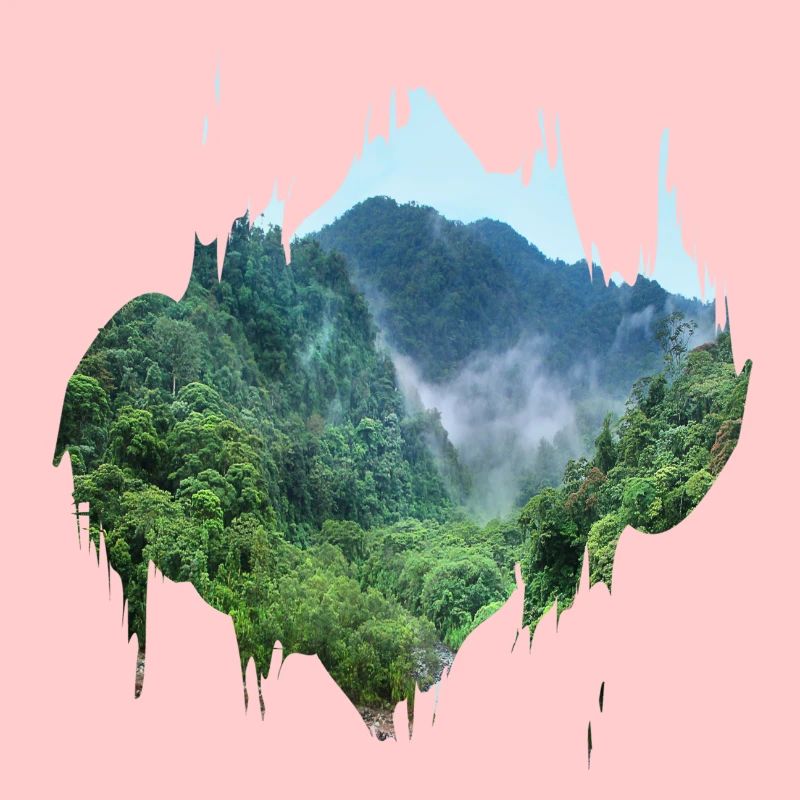 Regenwald Urwald Amazonas Farbfleck Geschenk