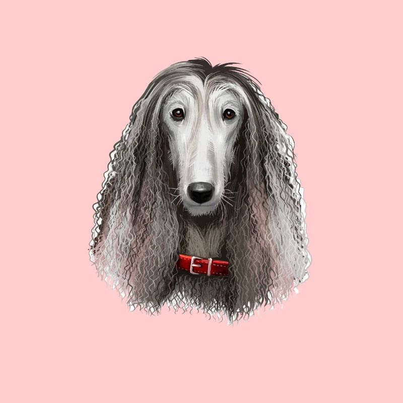 Illustration de l’aquarelle du chien afghan Hound