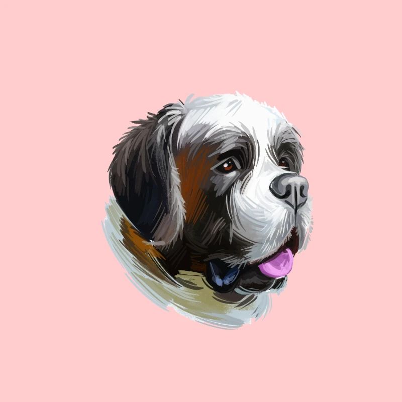 Illustration de l’aquarelle du chien St Bernard