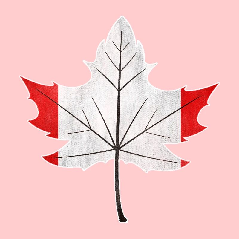 Canada Canada drapeau de feuille d'érable nationalité