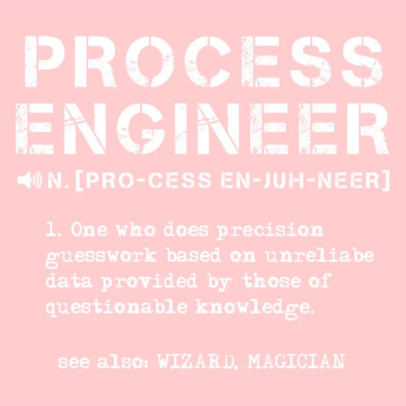 process engineer