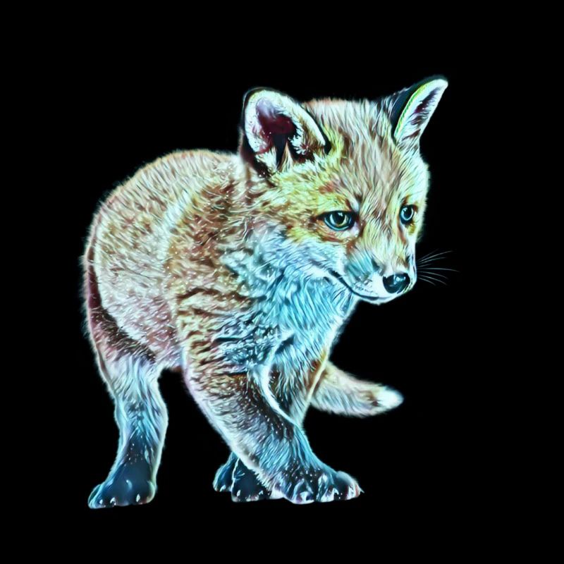 Renard