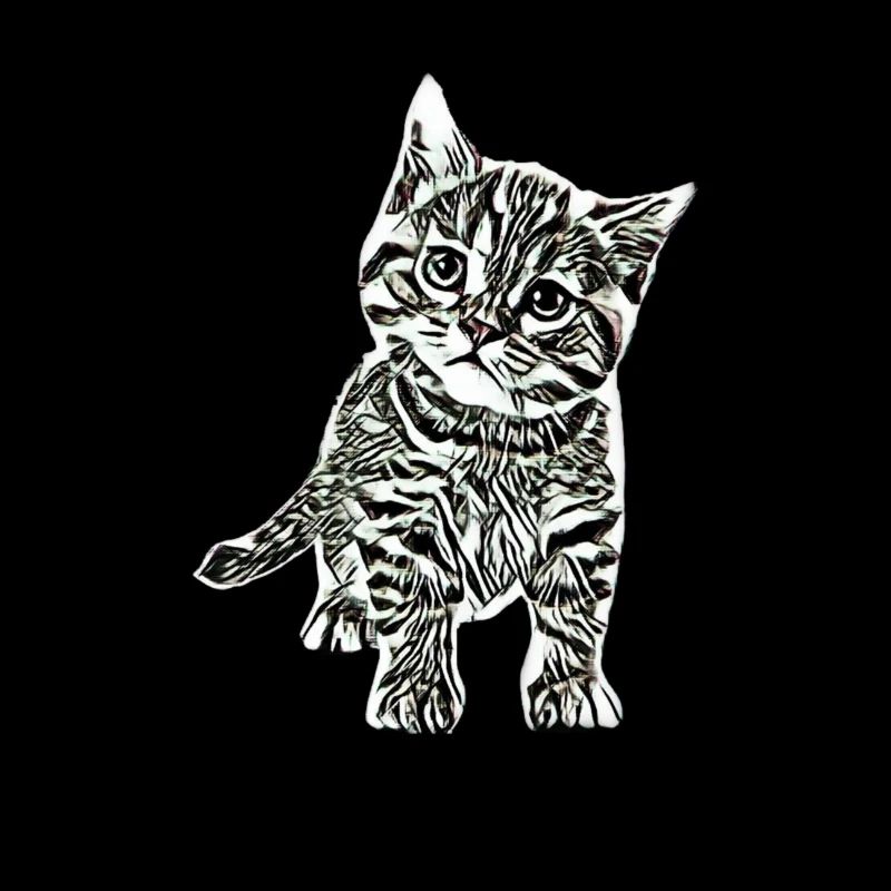 Chatons