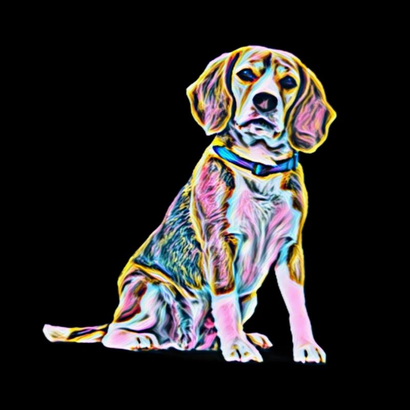 Beagle