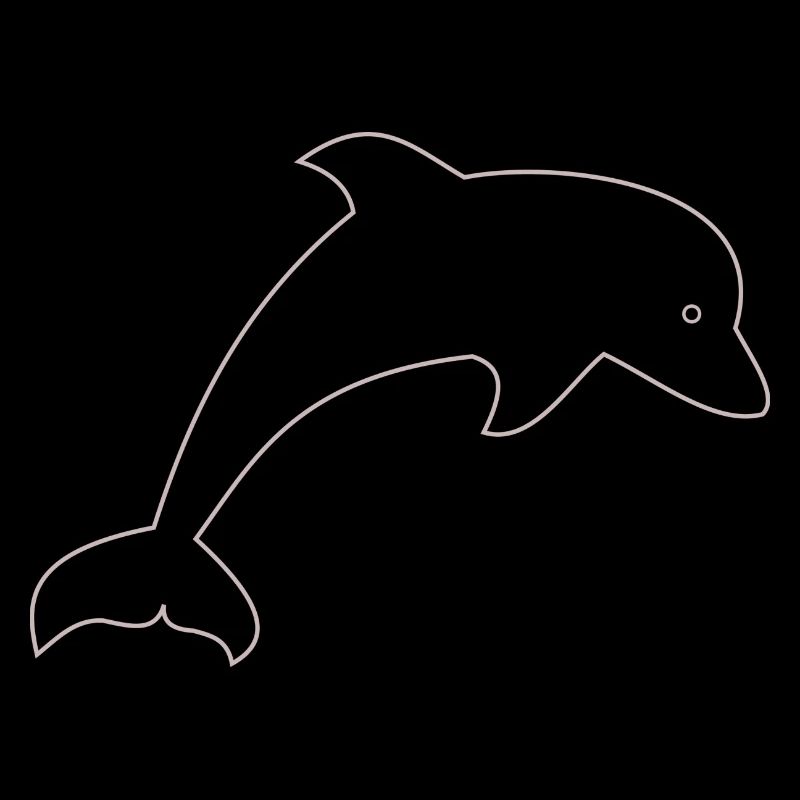 Dolphin gift